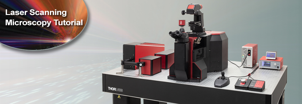 Laser Scanning Microscopy Tutorial