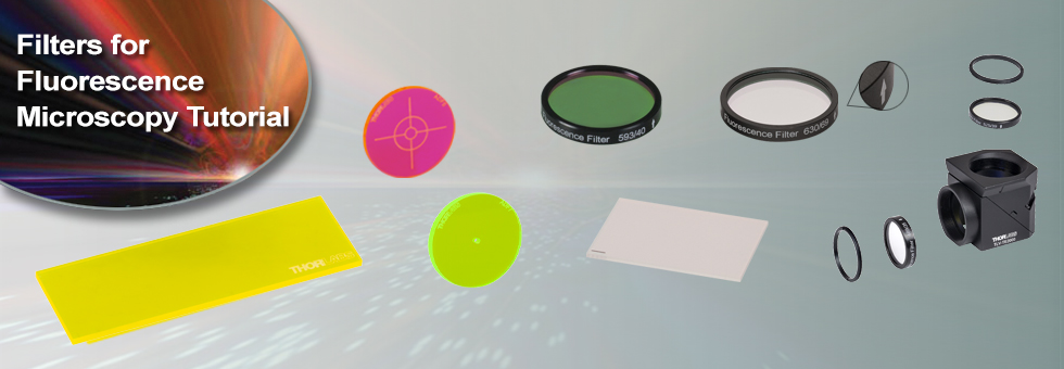 Filters for Fluorescence Microscopy Tutorial