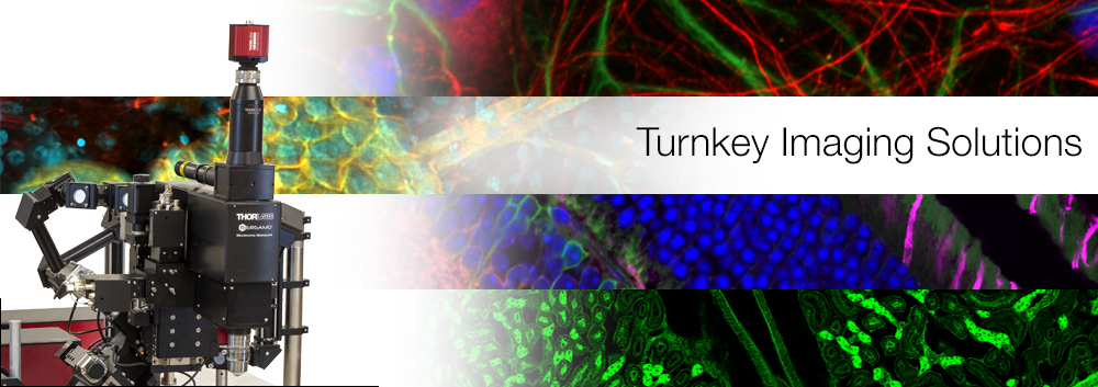 Thorlabs Imaging Systems