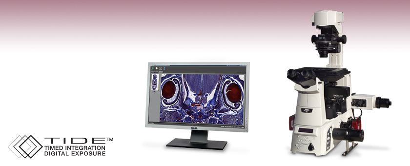 scan microscope