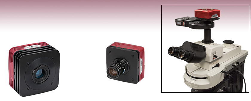 Digital Ccd Camera Digital Ccd Camera