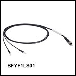 Bifurcated Fiber Bundle, Ø200 µm Core, 0.22 NA, SMA905 to Ferrules