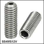 Vented, Vacuum-Compatible M4 x 0.7 Setscrews