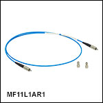 InF<sub>3</sub>, Ø100 µm Core, 0.26 NA Patch Cable, AR Coated: 4.0 - 4.6 µm