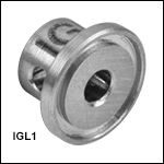 Implant Guide for GRIN Lens<br>