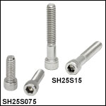 1/4in-20 Stainless Steel Cap Screws
