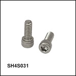 4-40 Stainless Steel Cap Screws