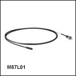 Ø200 µm Core, 0.22 NA SMA to Ferrule Patch Cable with Ø1.25 mm Ferrule, Heat-Shrink Tubing