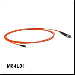 Ø200 µm Core, 0.22 NA SMA to Ferrule Patch Cable with Ø2.5 mm Ferrule, PVC Jacket