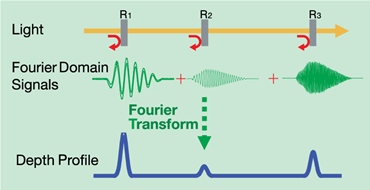 Fourier Domain Signals