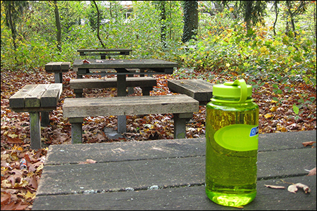 3D Picnic Scene