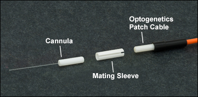 Fiber Optic Cannula and Interconnect