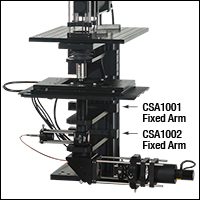 Cerna with Custom Trans-Illumination