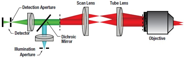 Confocal Optical Path