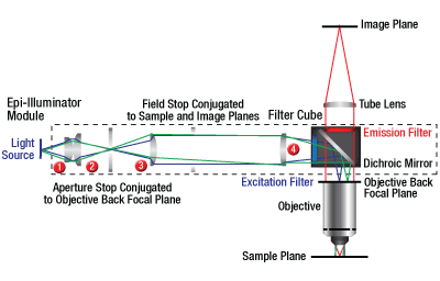 Epi-Illuminator Schematic