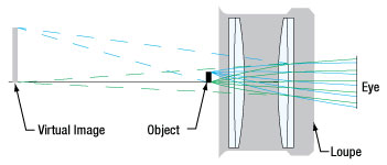 EYL10X with Stage Micrometer