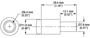 Distal End of the OSL2 Fiber Bundle