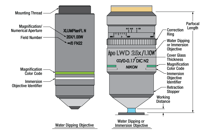 Physiology Objectives, Water Dipping or Immersion Physiology Objectives, Water Dipping or Immersion