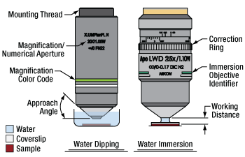 Microscope Objectives, Water Dipping Or Immersion