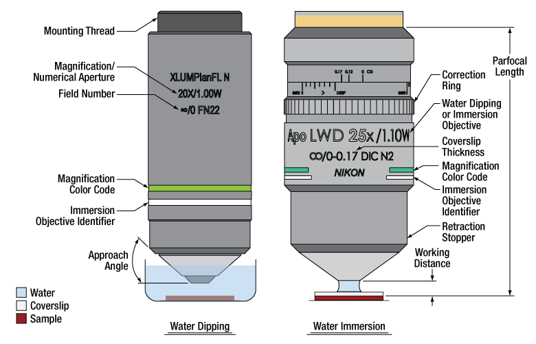 Microscope Objectives, Water Dipping Or Immersion