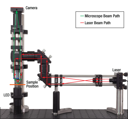 Optical Tweezers Beam Path