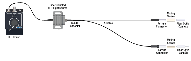 Optogenetics System Schematic