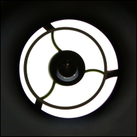 Reflective Objective Back