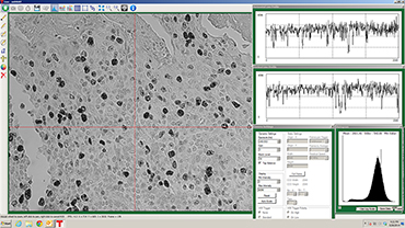 ThorCam Camera Software