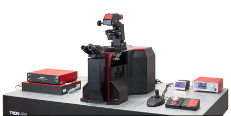 Confocal Microscope