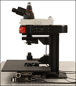Cerna Microscope CM3003 Side View