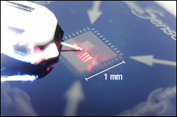 AFM Cantilever Tip