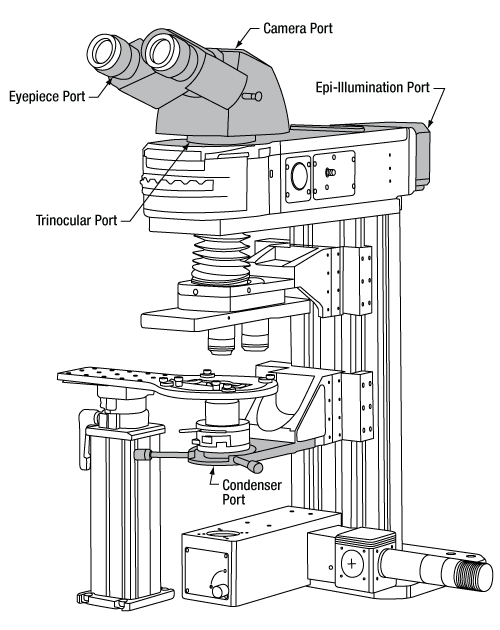 Cerna Microscope Ports