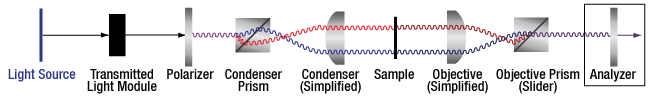 DIC Optical Schematic