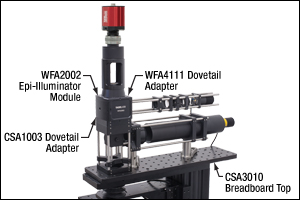 Cerna System with Body Attachments