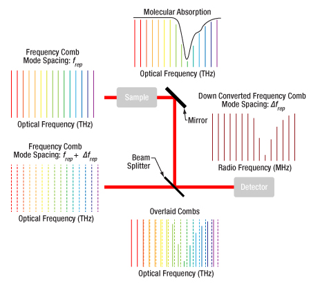 'Dual frequency comb spectroscopy