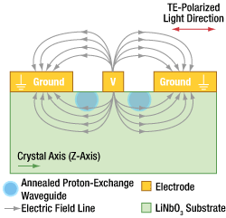 X-Cut Lithium Niobate Cross Section