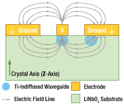 Z-Cut Lithium Niobate Cross Section