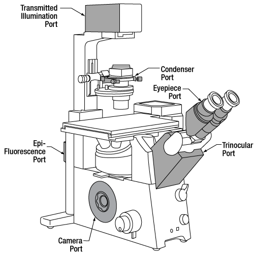 Olympus BX and IX Ports