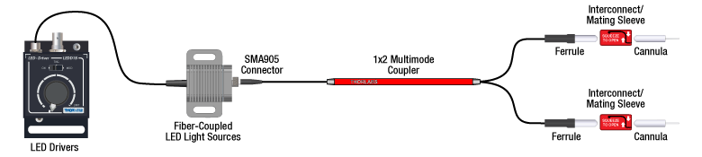 Optogenetics Bilateral Stimulation Schematic