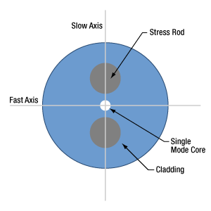 Diagram of PANDA stress-birefringent PM fiber showing stress rods (SAP).