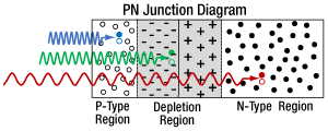 Different Wavelength Absorption Deopth in PN Junction