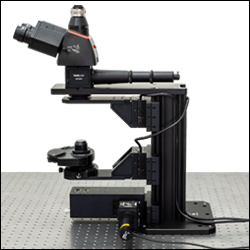 Brightfield Microscope