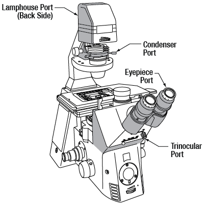 Zeiss Axioskop and Examiner Ports