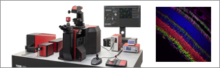 Veneto® Inverted Microscopes