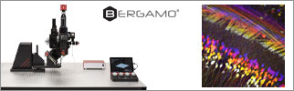 Bergamo® III Series Microscopes
