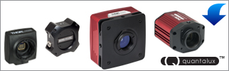 CCD / CMOS Cameras