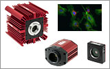 Microscopy Cameras