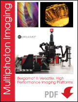 Multiphoton Imaging Brochure
